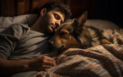 El arte de soñar juntos: los beneficios de dormir con tu perro